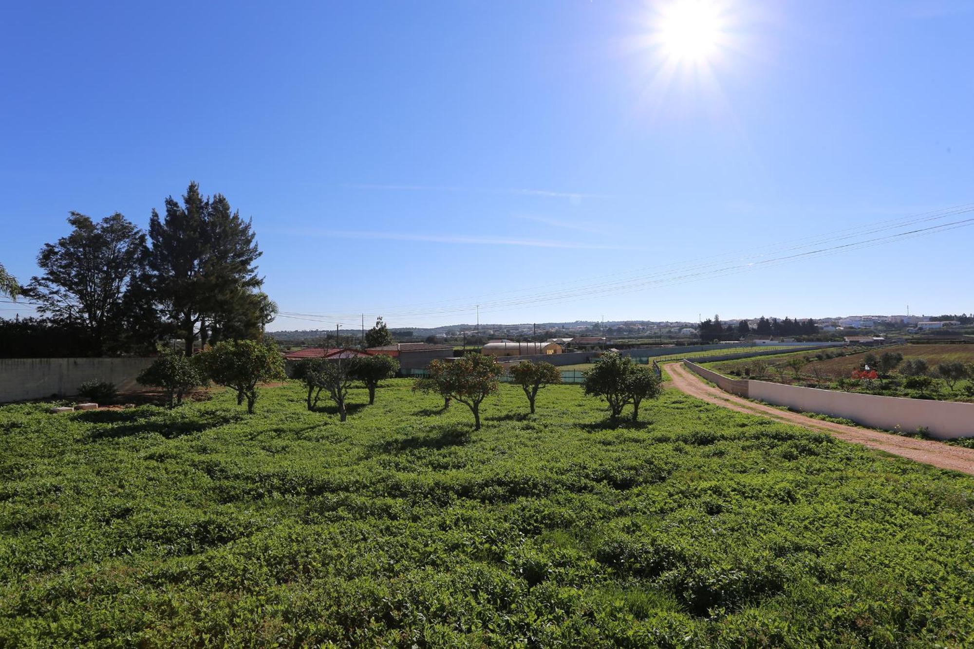 דירות Odiáxere Quinta Da Ponte מראה חיצוני תמונה